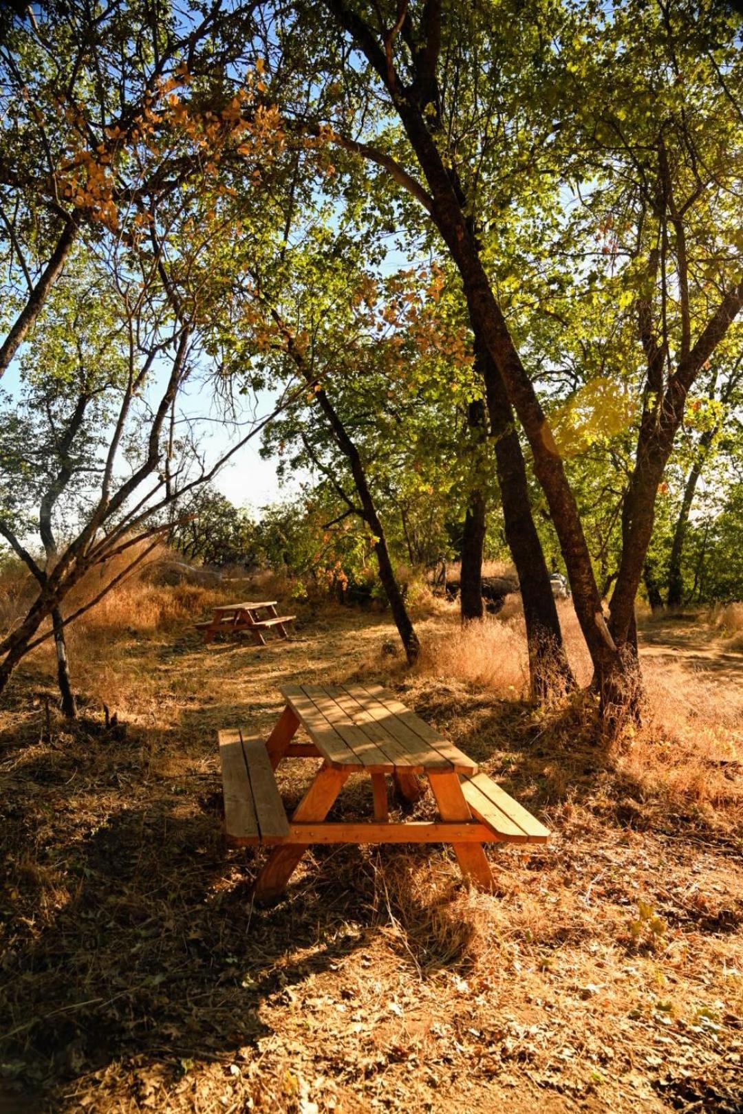 Campground At Sequoia Mountain Farms - Bring Your Own Tent Or Rv - No Bedrooms Or Beds Provided Miramonte Eksteriør billede